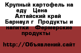 Крупный картофель на еду › Цена ­ 20 - Алтайский край, Барнаул г. Продукты и напитки » Фермерские продукты   